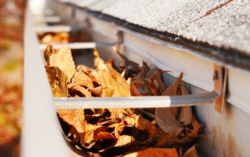 Shipley Common gutter cleaning companies