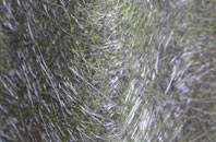 Shipley Common fibreglass roof work